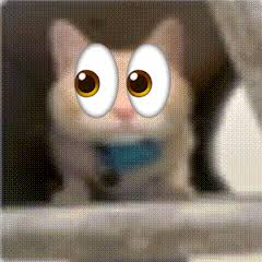 drivecadre's tweet photo. @centi_peed_e gon https://t.co/ZrMmuGUyeP
