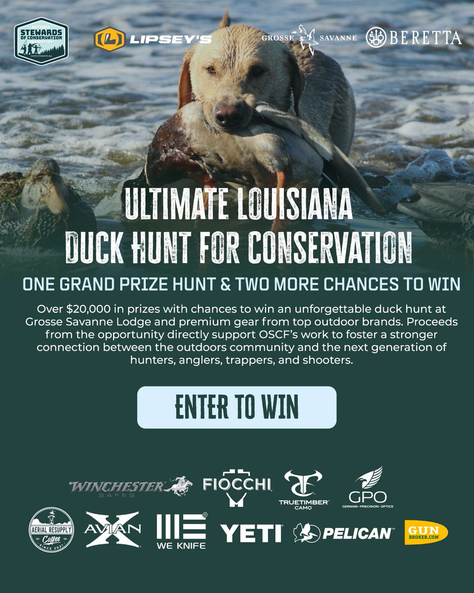 TrueTimber's tweet photo. Conservation is bigger than one brand.

That’s why leading names across the outdoor industry have come together for this cause. A unified campaign built to support the future of hunting and outdoor traditions.

 #TrueTimber https://t.co/MwBbYPRWQD