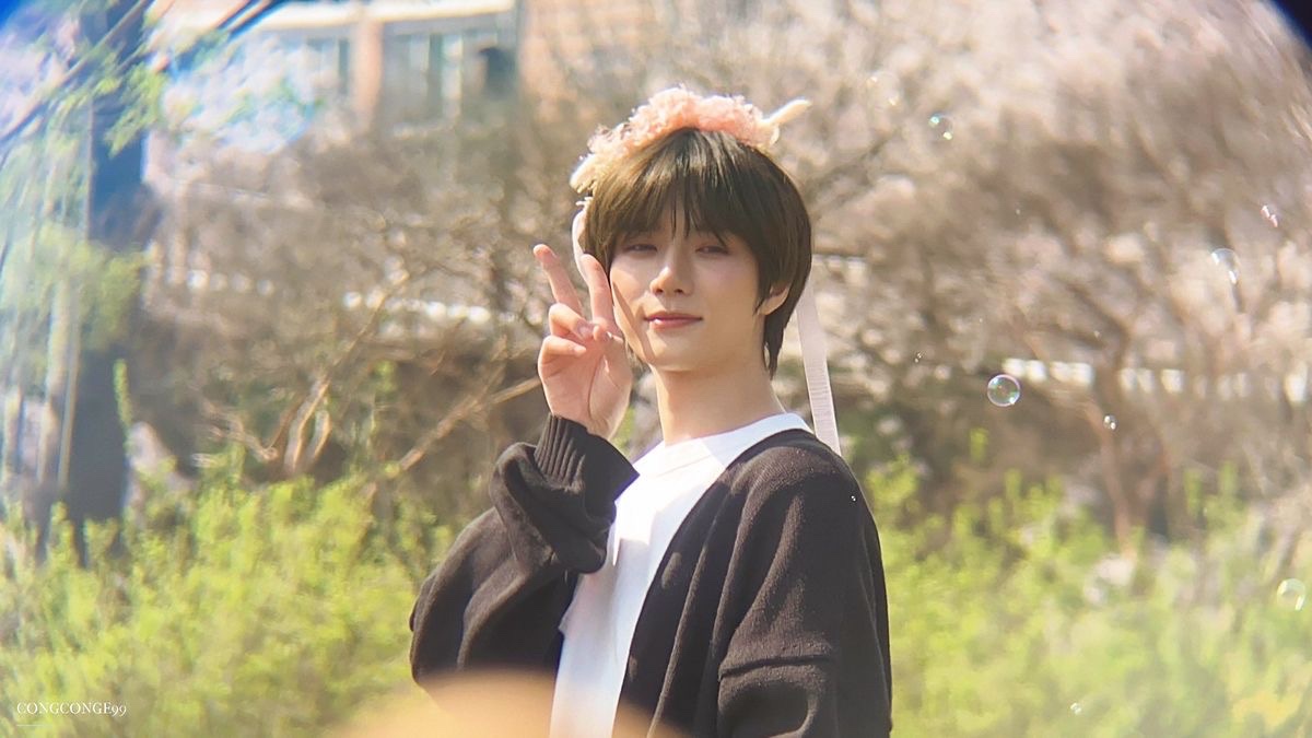 beomgyuhourly's tweet photo. so dreamy 🌼 https://t.co/aRxr4CaEQp