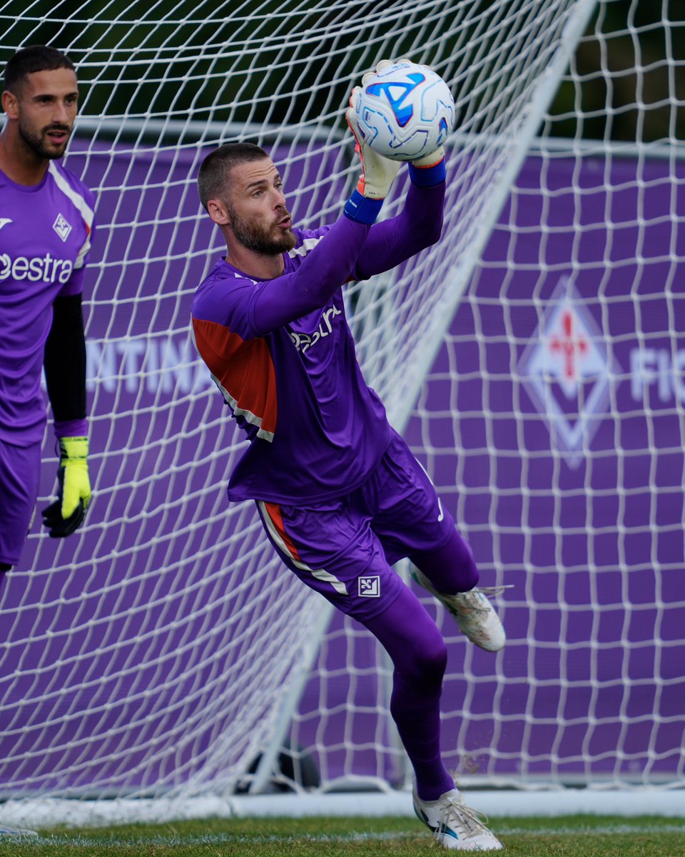 ACFFiorentinaEN's tweet photo. Every save starts here 🧤💜⚜️ https://t.co/ZtaiKr5Bpv