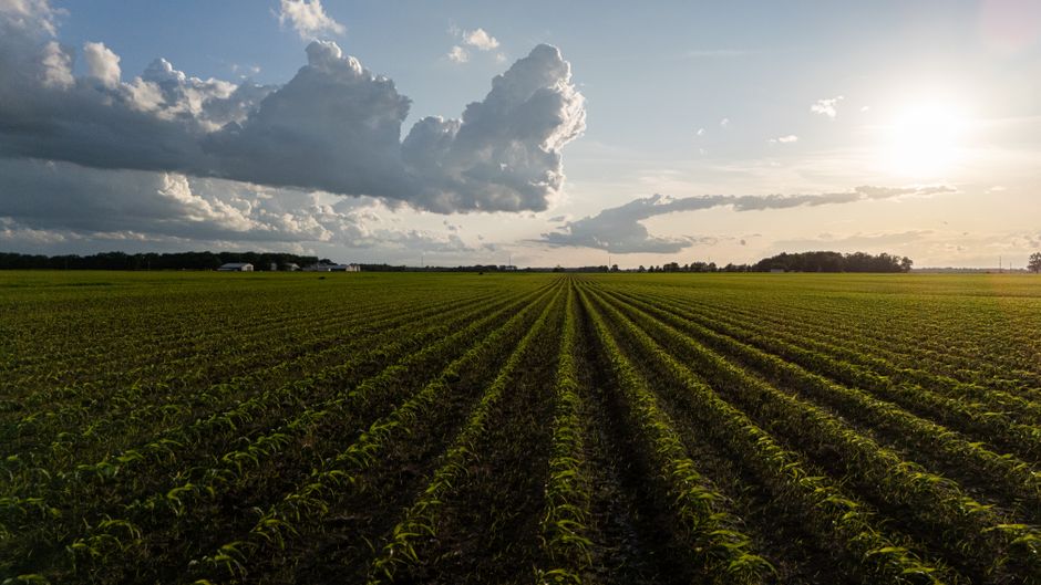 SwissCGNY's tweet photo. How much water will crops actually need in a warmer future? EPFL research shows the answer depends a lot on which climate model you use. ๐พ๐ง
Read more here: https://t.co/0yLBaeMxWI
#Switzerland #EPFL #WaterManagement ๐จ๐ญ https://t.co/GewOhCCVc7