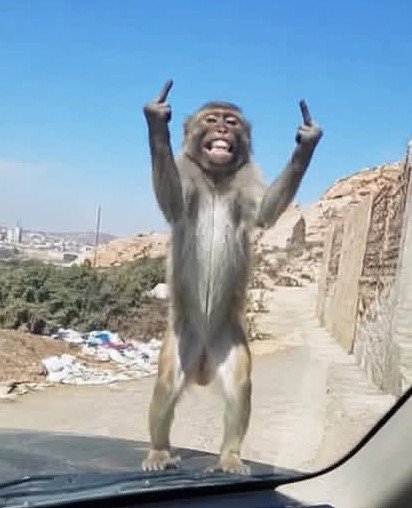 Byterbist's tweet photo. Unashobokea usio wajua tena umeonyesha chuki yako kwa janja picha yenyewe sio yake ilivo na roho chachu kama mwanga umejimaliza 😂😂 https://t.co/91CUlDbupe