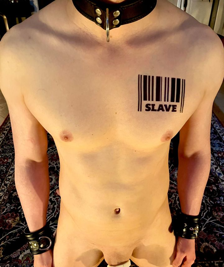 Matriarch_01's tweet photo. The collar says everything.
Commitment. Loyalty. Devotion.

Slave h is one of my devoted slut , he knows how lucky he is to be under my authority and I am the only mistress that puts him in his place , he said it himself 

Telegram link below 👇 

https://t.co/gXy60IjqGZ… https://t.co/EnfjUGKKMs