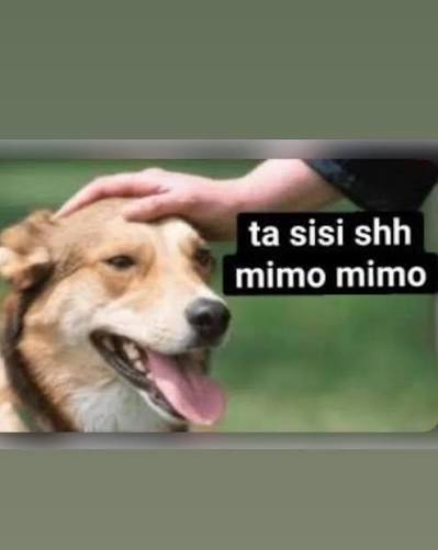 bastlib257's tweet photo. @lucasmartiunder @el_contenido @VickyNasisi21 https://t.co/0O57D8Z7t9