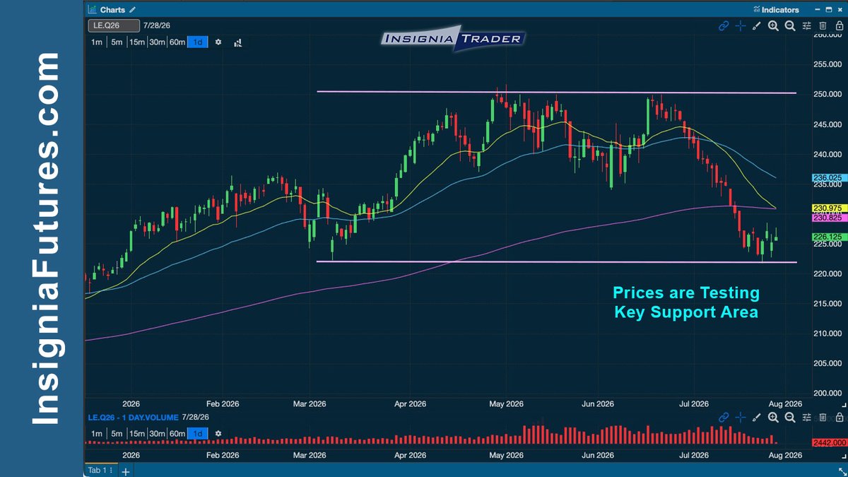 InsigniaFutures's tweet photo. Live Cattle futures are testing a key support level.

Will buyers defend this area, or will sellers push prices lower?

Support levels can help provide valuable clues about market sentiment.

#LiveCattle #FuturesTrading #CommodityMarkets #TechnicalAnalysis

DISCLAIMER: Futures trading involves substantial risk of loss and is not suitable for all investors. Past performance is not necessarily indicative of future results. This post is for educational purposes only and any opinions expressed are not a guarantee of trading results.