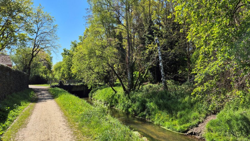 BeatriceHeinze's tweet photo. 3 phone snapshots of my local nature reserve, where I like to go for walks for TrailTuesday.
#TrailTuesday https://t.co/N4g5WPOGi4
