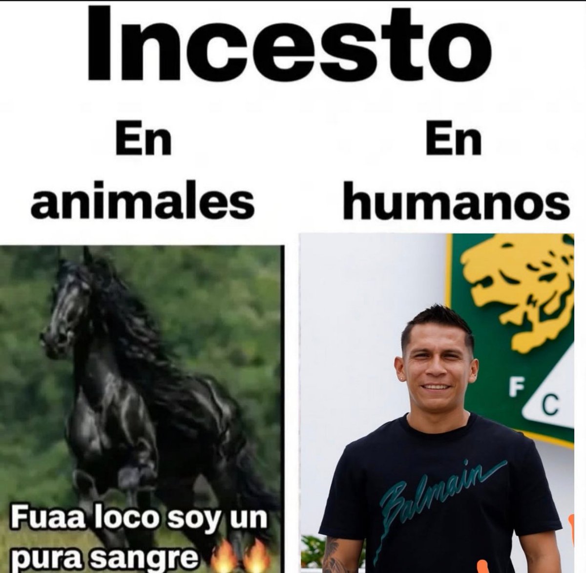 GxelMR's tweet photo. Se le mira bien al jefecito https://t.co/LpCQvWZMtv
