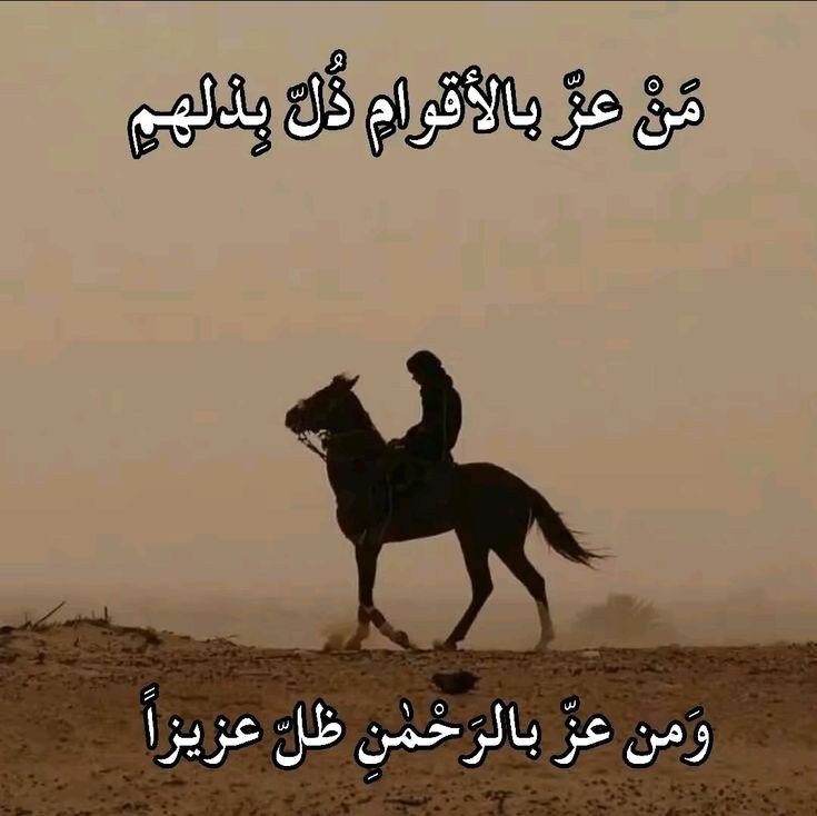 SHERWADB's tweet photo. https://t.co/KLQAadXreX