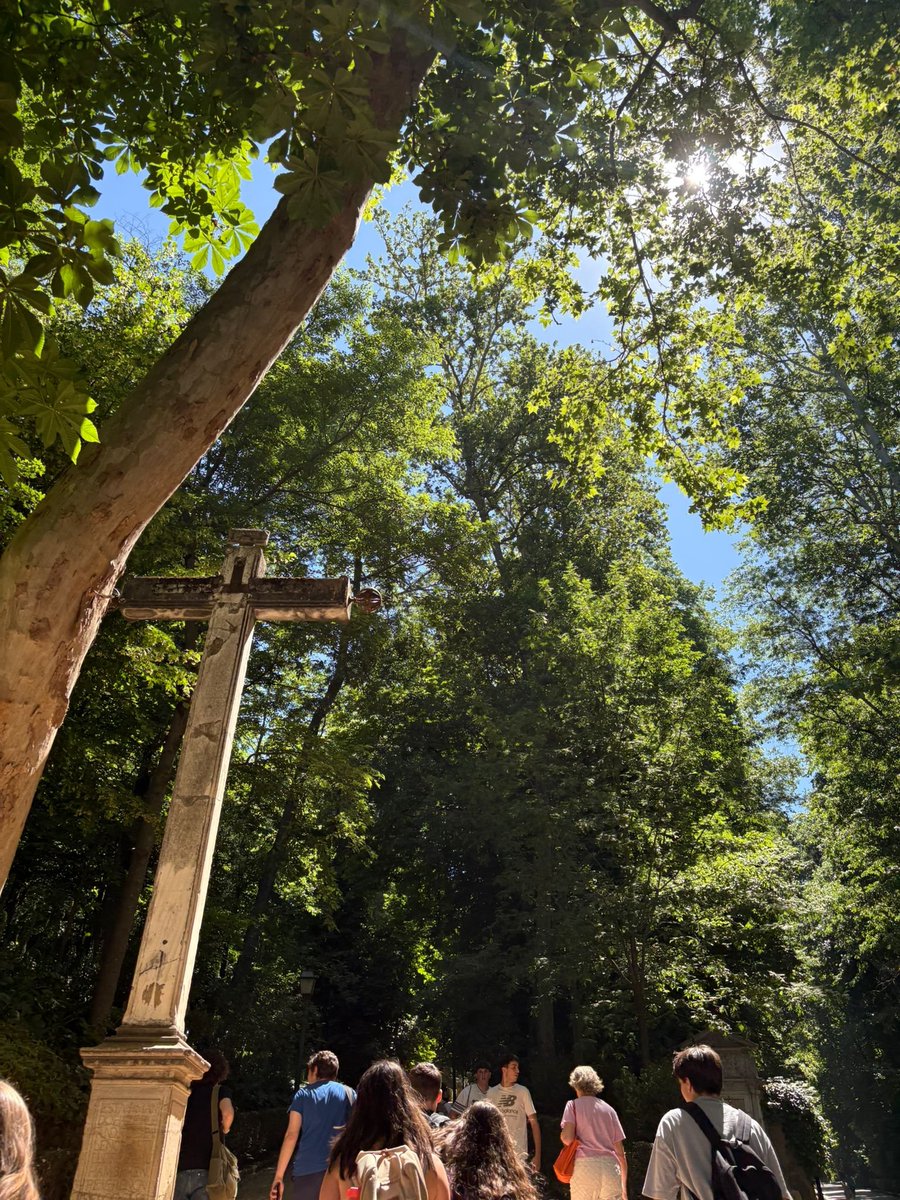 apublicar's tweet photo. A nadie le da por prohibir las recalificaciones de terrenos tras el #IncendiosForestalesEspaña ? No será por falta de leyes, Reales Decretos... https://t.co/V8KMyswQLb