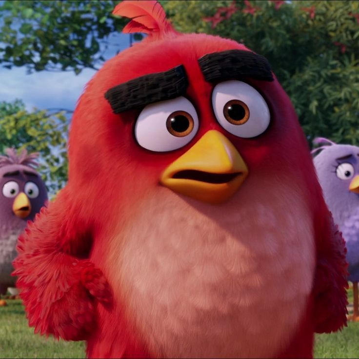 applefeathers_'s tweet photo. Ven lo q yo veo???? 😭

#angrybirds #angrybirdsred #maomaoheroesofpureheart #mmhoph https://t.co/tCFvmxpXVL