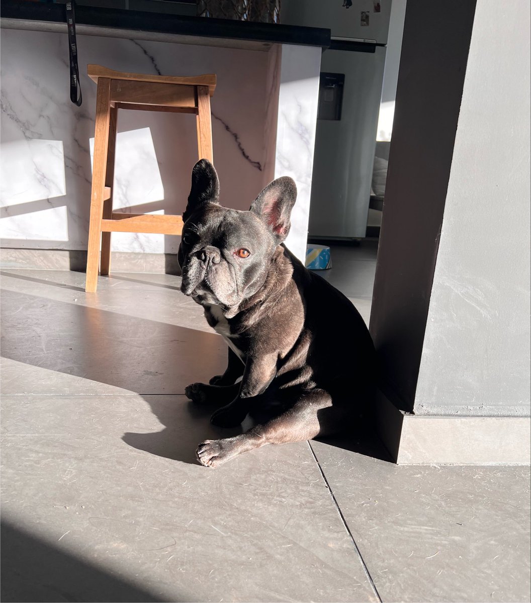 BussoPaula's tweet photo. @OtraEmpanada Hipolito
Napo 
Napolo 
Napus 
Napo manguera  
Chiqui tapia (por gordo, negro y mafioso ) https://t.co/8gMnPMUpCO