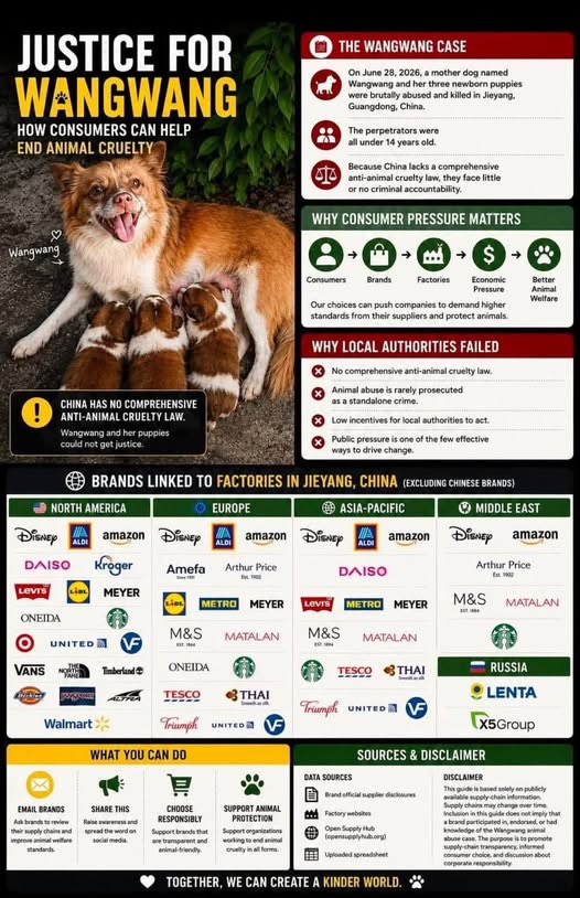 ECOAlphaTango's tweet photo. 🔴 JULY 28th, 2026 - #JusticeForWangWang 🕊️🐶🥀

Pls, READ this & Spread. 
🔥𝐑𝐎𝐀𝐃𝐌𝐀𝐏 𝐈𝐍 𝐒𝐔𝐏𝐏𝐎𝐑𝐓 𝐎𝐅 𝐓𝐇𝐄 𝐖𝐀𝐍𝐆 𝐖𝐀𝐍𝐆 𝐌𝐎𝐔𝐕𝐄𝐌𝐄𝐍𝐓
This is just the beginning. The CCP is counting on the Wang Wang movement to run out of steam so it can finish off Chinese animal rights activists—the Wang Wang movement is important because it relays messages of support from around the world to animal rights activists, while also allowing us to keep an eye on these activists who are on the front lines facing the CCP’s insidious cruelty. 

The only way to put pressure on the corrupt CCP government is to wage:

1/ a relentless political and media campaign! Share the latest news, the Communist Party’s actions on the ground… THE MOVEMENT MUST LIVE ON.

2/ Economic strikes are VITAL. Be aware that the CCP is using its financial power to silence our Chinese activist brothers and sisters from within (over $100 million has been allocated to monitoring, tracking, and erasing all messages mentioning Wang Wang).
🔥 So, 𝐃𝐨 𝐍𝐨𝐭 𝐔𝐧𝐝𝐞𝐫𝐞𝐬𝐭𝐢𝐦𝐚𝐭𝐞 𝐘𝐨𝐮𝐫 𝐏𝐨𝐰𝐞𝐫 𝐨𝐟 𝐏𝐞𝐫𝐬𝐮𝐚𝐬𝐢𝐨𝐧! 
𝗮) Contact companies in your respective countries via email, threatening to boycott their products, making it clear that they support a tyrannical regime that encourages animal torture, protects sadists, and harasses, imprisons, or even kills animal rights activists. 
𝗯) Visit the official Chinese accounts on X and post firm but courteous messages supporting the Wang Wang movement. These messages cannot be deleted from X as long as they remain politically correct and will remain visible and readable by everyone. 

🕊️ Folks, friends,
The last photo shows Wang Wang, 90 seconds into the video, after she has already been struck 50 times with spiked bats—She weighs only 5 kg. She’s still trying to smile… Her body is broken, and she’s already suffering from multiple fractures, begging to be set free, to be given a chance to live… That never happened… 
The putrid Zhong family slaughtered her by burning her tiny broken body alive after gouging her eyes out of their sockets…
𝐒𝐨, 𝐚𝐧𝐬𝐰𝐞𝐫 𝐦𝐞, 𝐟𝐨𝐥𝐤𝐬: 𝐝𝐨 𝐲𝐨𝐮 𝐬𝐭𝐢𝐥𝐥 𝐭𝐡𝐢𝐧𝐤 𝐰𝐞 𝐧𝐞𝐞𝐝 𝐭𝐨 𝐭𝐚𝐤𝐞 𝐚𝐜𝐭𝐢𝐨𝐧?