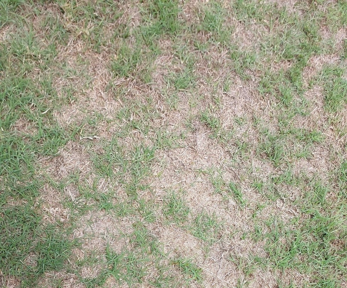 fs_raissa's tweet photo. depilação a laser é uma loucura, você olha pra sua xrc e parece um campinho de bairro com o gramado falhado https://t.co/maWZ86p1LR
