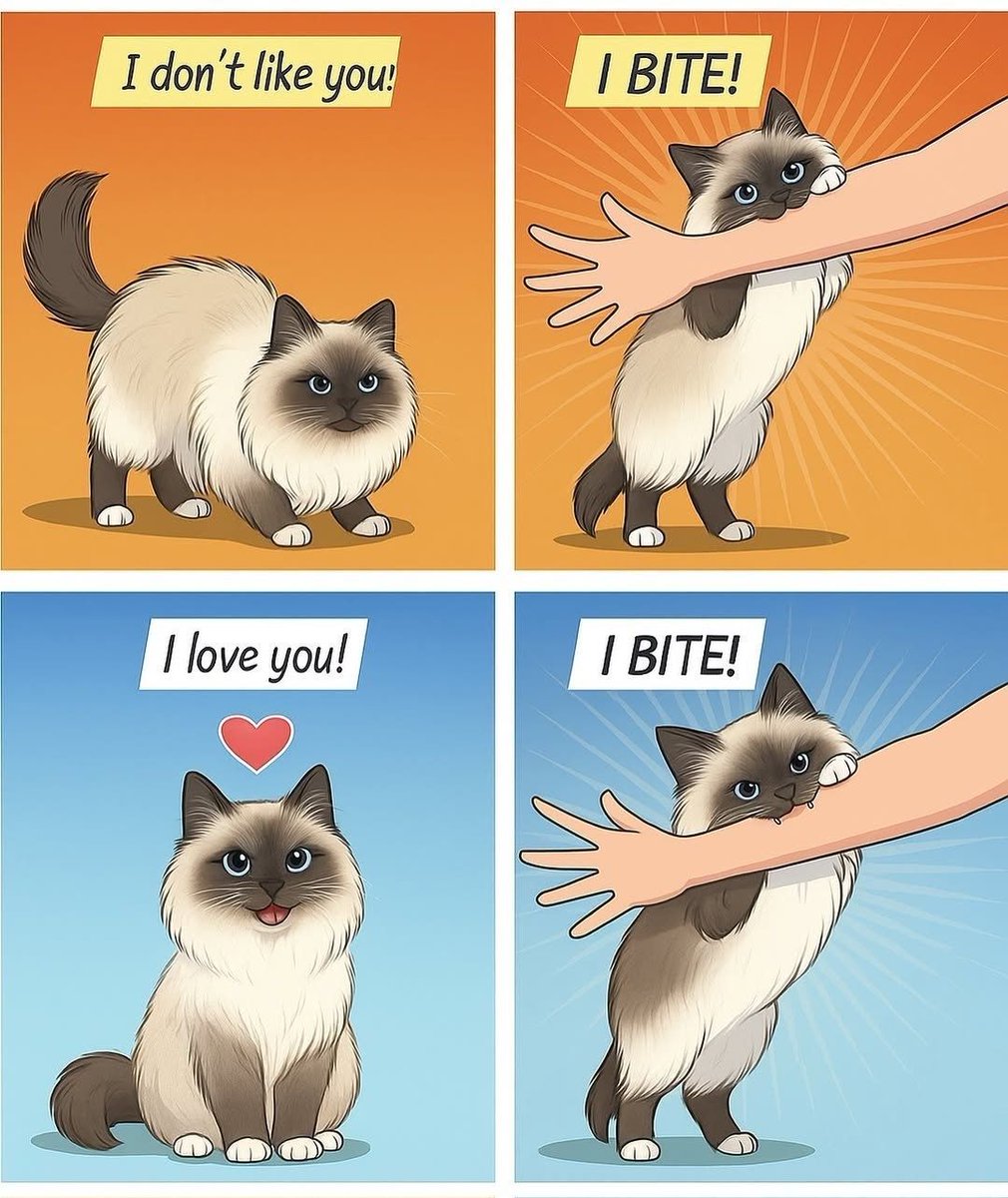 Cats_ooc's tweet photo. Cat logic https://t.co/HdFzRMqHZq