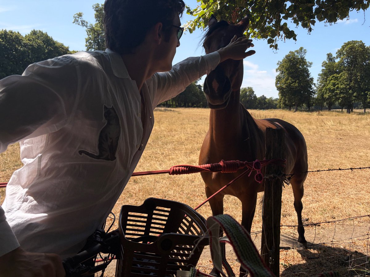 DS5EVER's tweet photo. Money comes back but you’ll never be 25 biking through Versailles and blasting Wuthering Heights again https://t.co/8jh6pADWLH