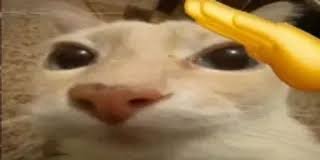 Dzejqb4's tweet photo. @Gucio_lol https://t.co/Ce2559MSVg