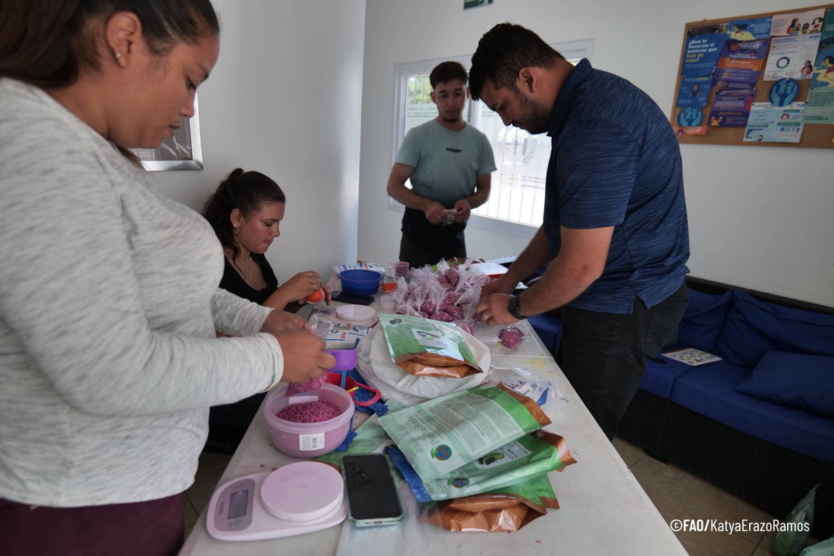 FAOHonduras's tweet photo. 3,500 hogares recibirán un kit agrícola que incluye semillas y fertilizantes para la producción de granos básicos y vegetales resistentes a la sequía. Cada kit representa una oportunidad para producir alimentos y fortalecer sus #MediosDeVida https://t.co/223m1fNlAA