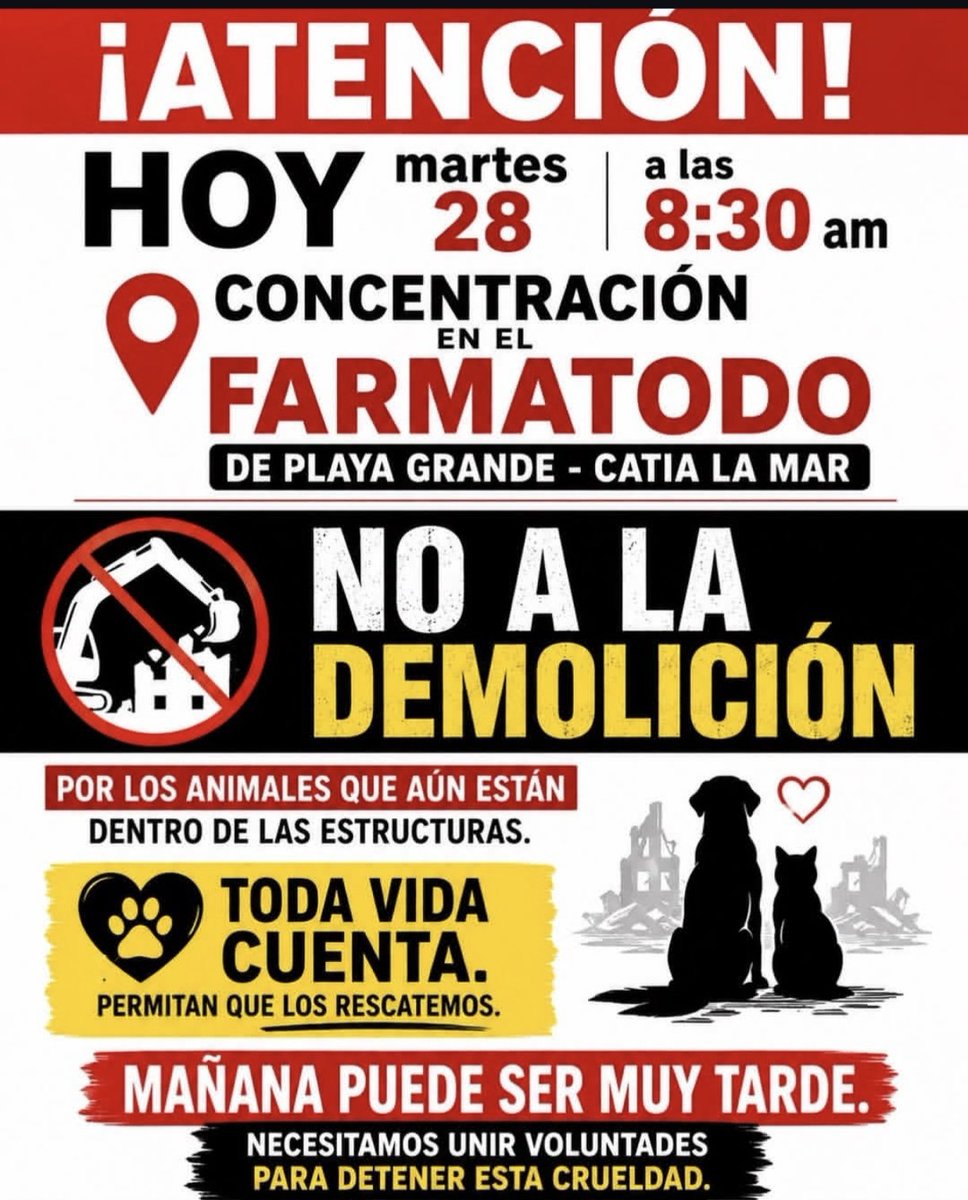 infinitoanimal2's tweet photo. 📢📢📢🆘🆘🆘 NECESITAN OPORTUNIDAD LOS ANIMALES QUE AUN ESTAN EN ESAS ZONAS🆘🆘📢 https://t.co/TM7bDKnALF