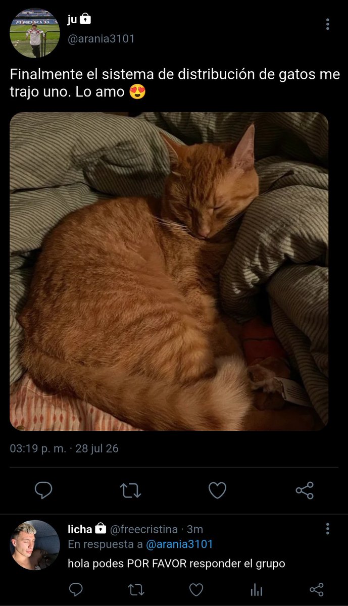 esquizoem's tweet photo. • 6 • https://t.co/Ua8AP2Uezk