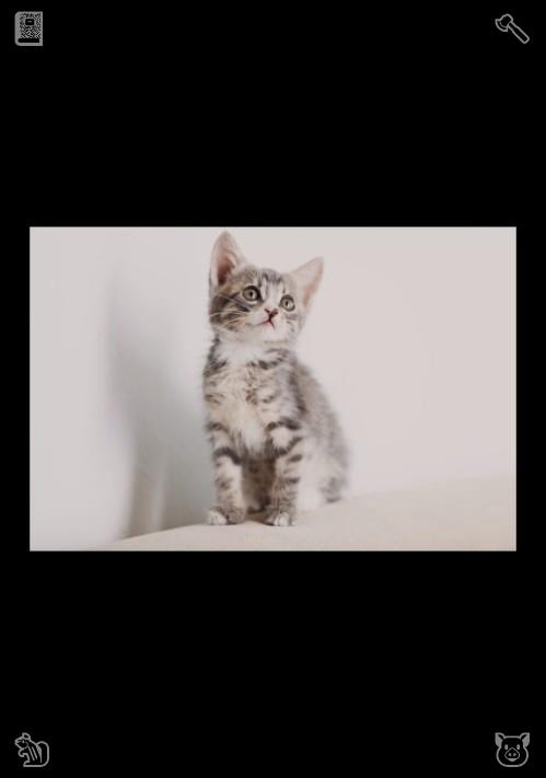 ちぃちゃん【ちぃちゃんねる】 (@oochichanoo) / Posts / X
