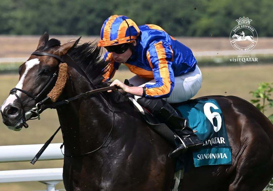 sportingpost tweet picture