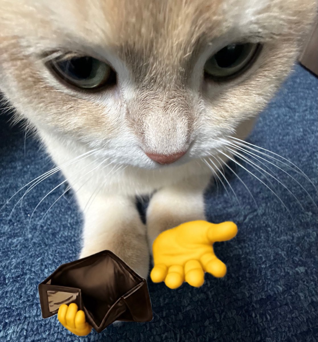 xxcatmi's tweet photo. https://t.co/nUQfyKzCiv