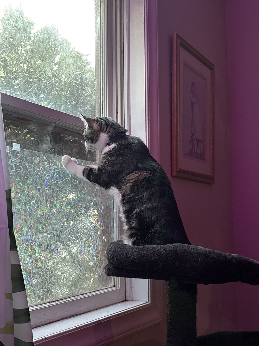 imtexasranger's tweet photo. Providing security :) keeping an eye on everything :) https://t.co/iDQrMOJRC7