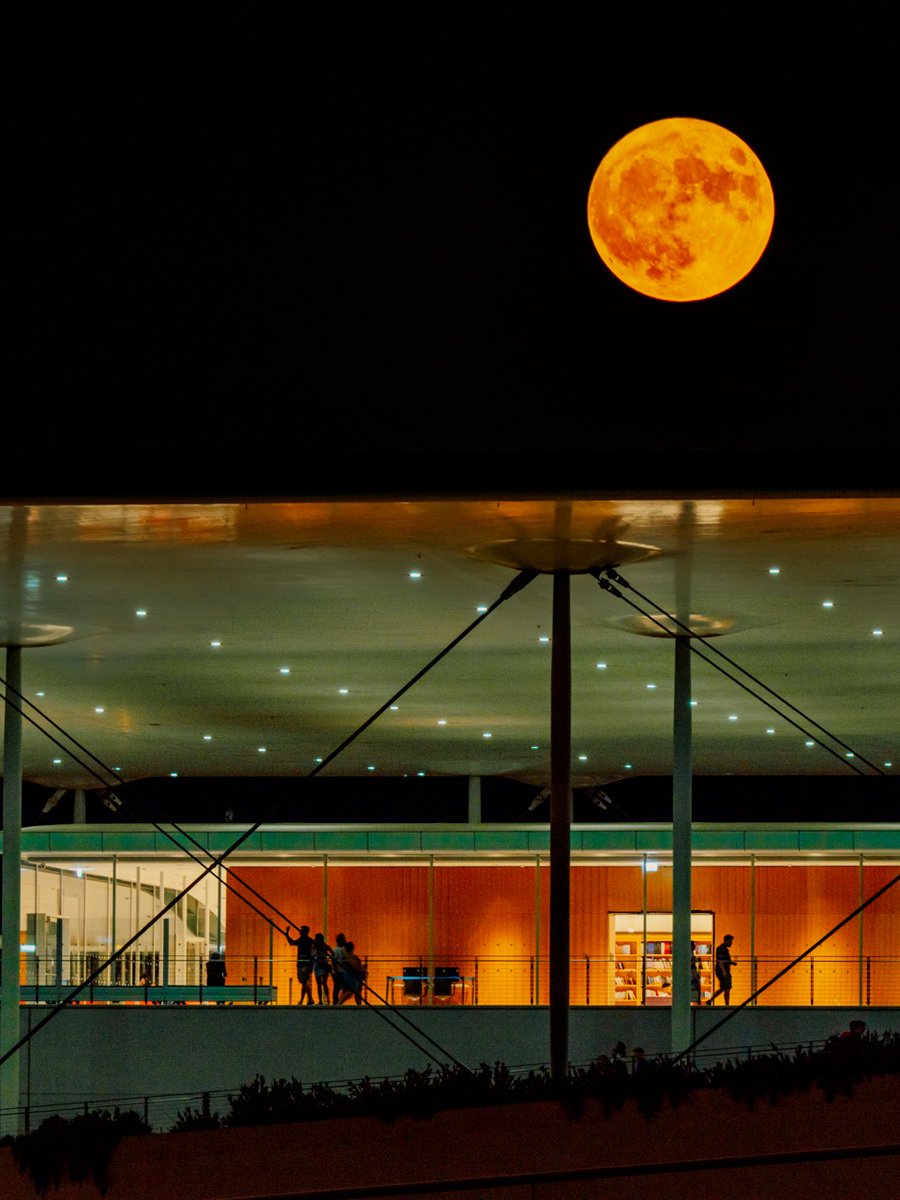 VisitGreecegr's tweet photo. The Full Moon Sleepover returns tomorrow to the Stavros Niarchos Foundation Cultural Center for an unforgettable evening of stargazing, a movie marathon under the stars, outdoor activities, and sleeping beneath the Athenian sky. Be there!

🎬 https://t.co/aw7FpqFh0q

#VisitGreece https://t.co/reCe0jzIti