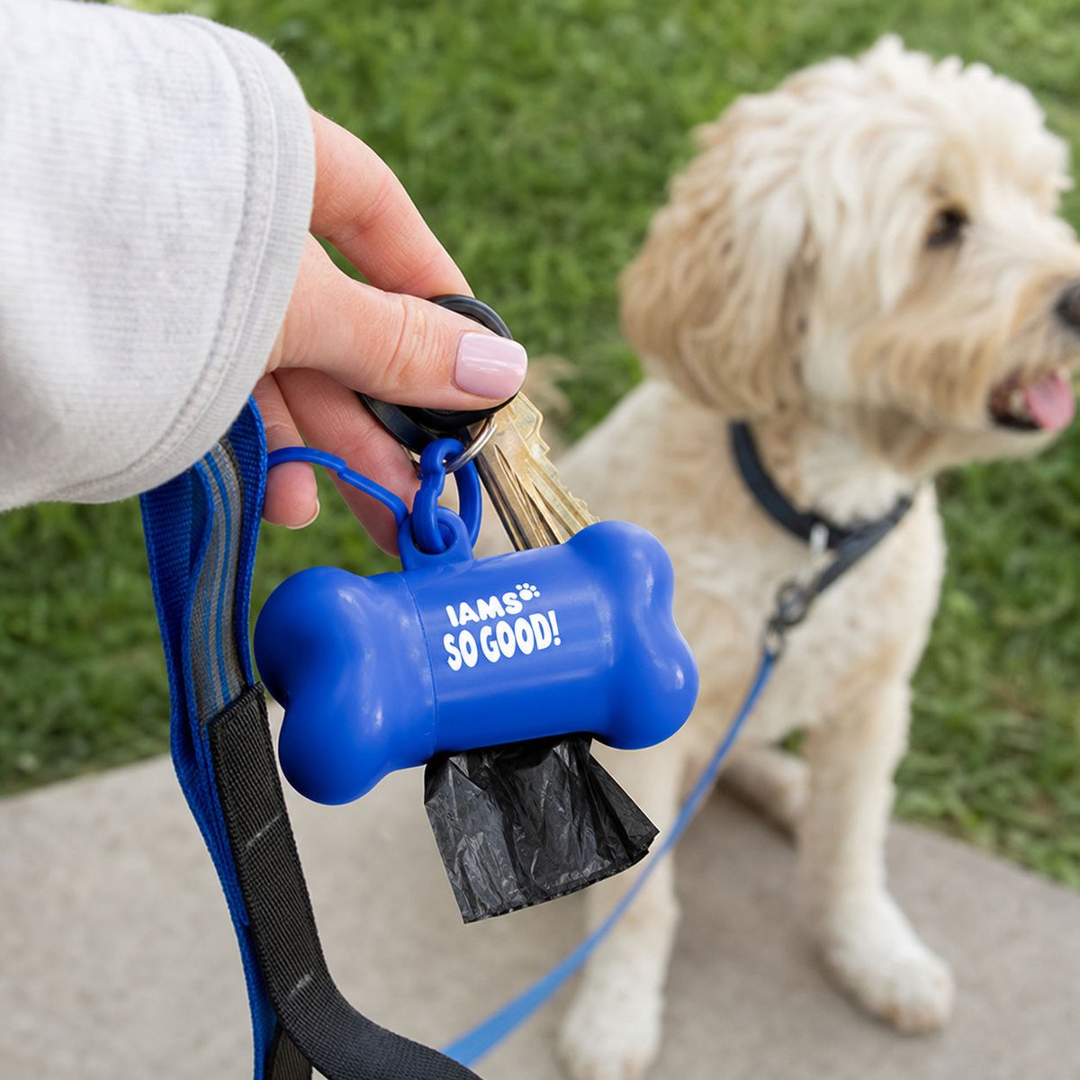 Stellar_Designs's tweet photo. We are excited to share our full line of promotional products! We are sure you will find something to fit your needs. https://t.co/m2Y7hXKazh #BluetoothSpeakers #Pouches #PetAccessories #PoloShirts https://t.co/2H1CRcqExT