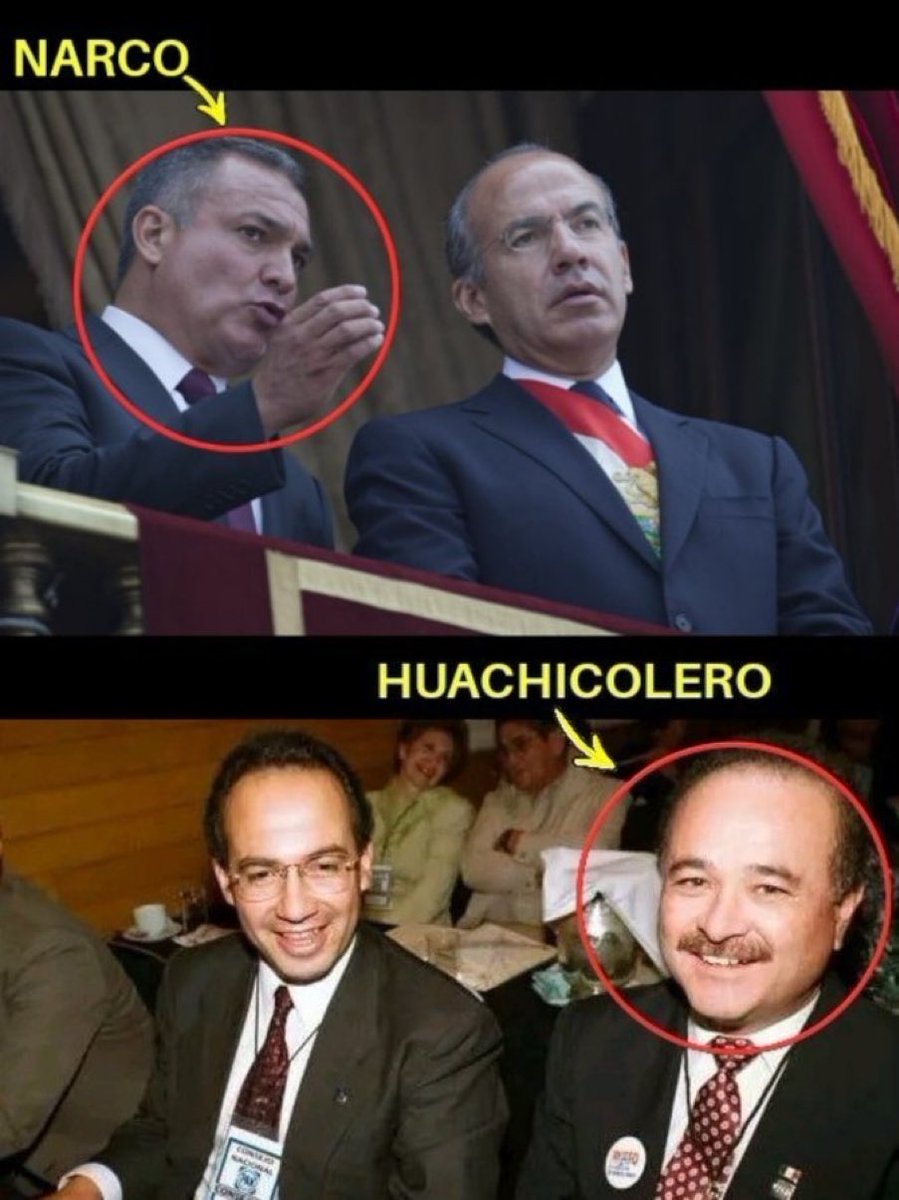 comsatori's tweet photo. @Luisfecalderonz El que abrazaba delincuentes y hasta los condecoraba es el borracho que se dice tu papá...nini imbécil y bueno para nada...sólo sabes vomitar mi3rda cada que abres tu inmundo hocico.

#OposicionMasPendejaYCorruptaQueHaExistido https://t.co/rpdkXUAwHZ