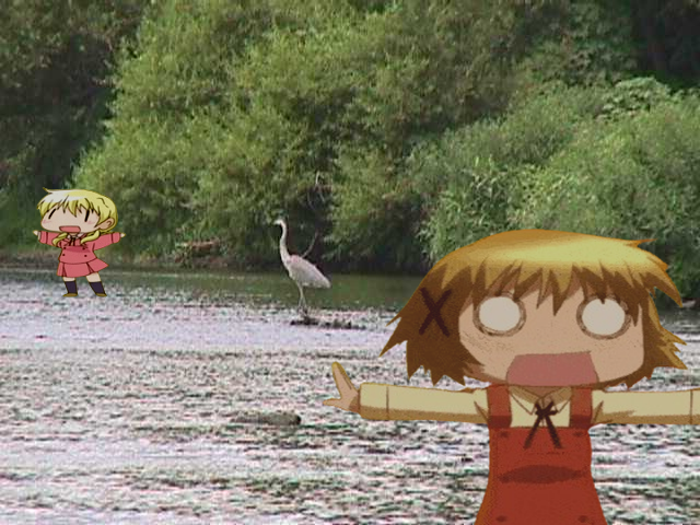 stillonchemical's tweet photo. Yuno and Miyako CAUGHT Assimilating With The Local Blue Heron Population👀👀👀👀 https://t.co/Ymi6HIPjx5