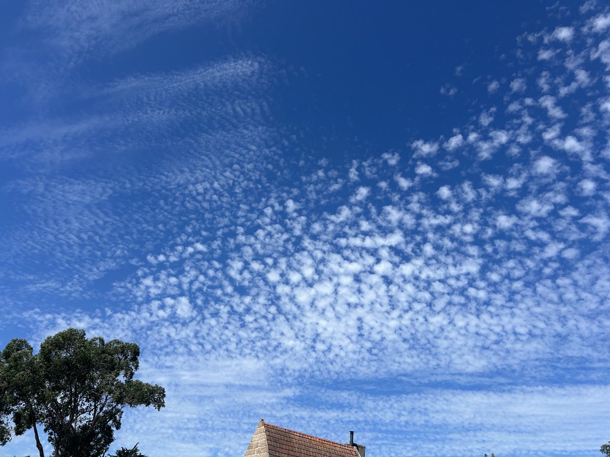 BarneriasPierre's tweet photo. Petite question de néophyte aux grands sachants et scientifiques de la Geo ingénierie du climat: vous les appelez comment ces nuages? https://t.co/EeJJqv3rLy