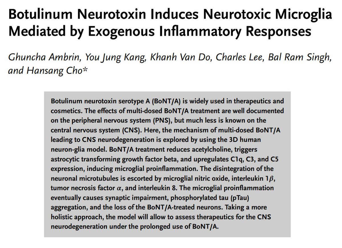 calotonterias's tweet photo. El uso repetido y prolongado de bótox puede contribuir a la neuroinflamación y la neurodegeneración. Y puede matar neuronas.

La toxina botulínica reduce la acetilcolina que liberan las neuronas. Esto activaría a los astrocitos, que liberarían una señal inflamatoria llamada TGFβ y pondrían en marcha un grupo de proteínas inmunitarias (C1q, C3 y C5). Esas proteínas podrían activar a la microglia, las células de defensa del cerebro, volviéndola proinflamatoria. La microglia liberaría entonces sustancias como el óxido nítrico, la interleucina-1β y el factor de necrosis tumoral (todas ellas necesarias en cantidades moderadas, pero tóxicas para las neuronas cuando se producen en exceso). Como consecuencia, se podría dañar la estructura interna de las neuronas, perder conexiones entre ellas, acumularse una forma alterada (fosforilada) de la proteína tau y, finalmente, morir algunas neuronas.