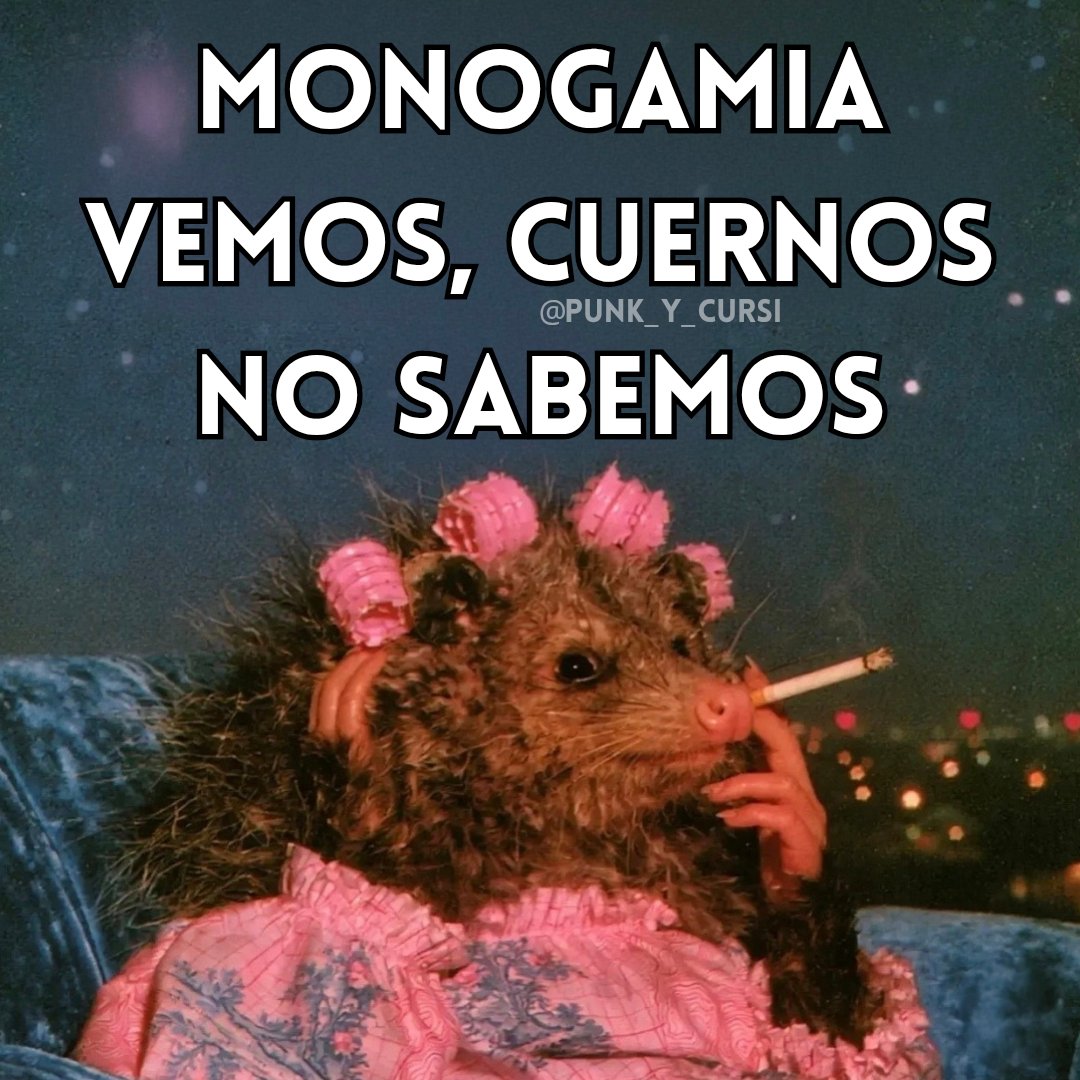 punk_y_cursi's tweet photo. Vengo a sembrarles una duda. https://t.co/YPWTL5pAQg