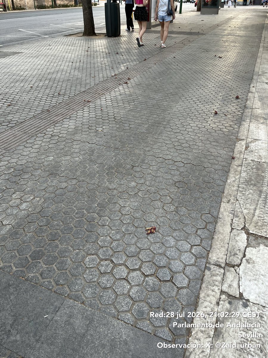 Zaid_urban's tweet photo. Buenas tardes, podría ser que @LipasamSevilla se pase a limpiar, pero a limpiar de verdad (no con una sopladora) el acerado con agua y jabón? 
Por otro lado, estaría bien quitar esos quioscos abandonados y decadentes?
@Ayto_Sevilla @DtoMacarena @ManuelLoreto17 https://t.co/H98QKZZwUp