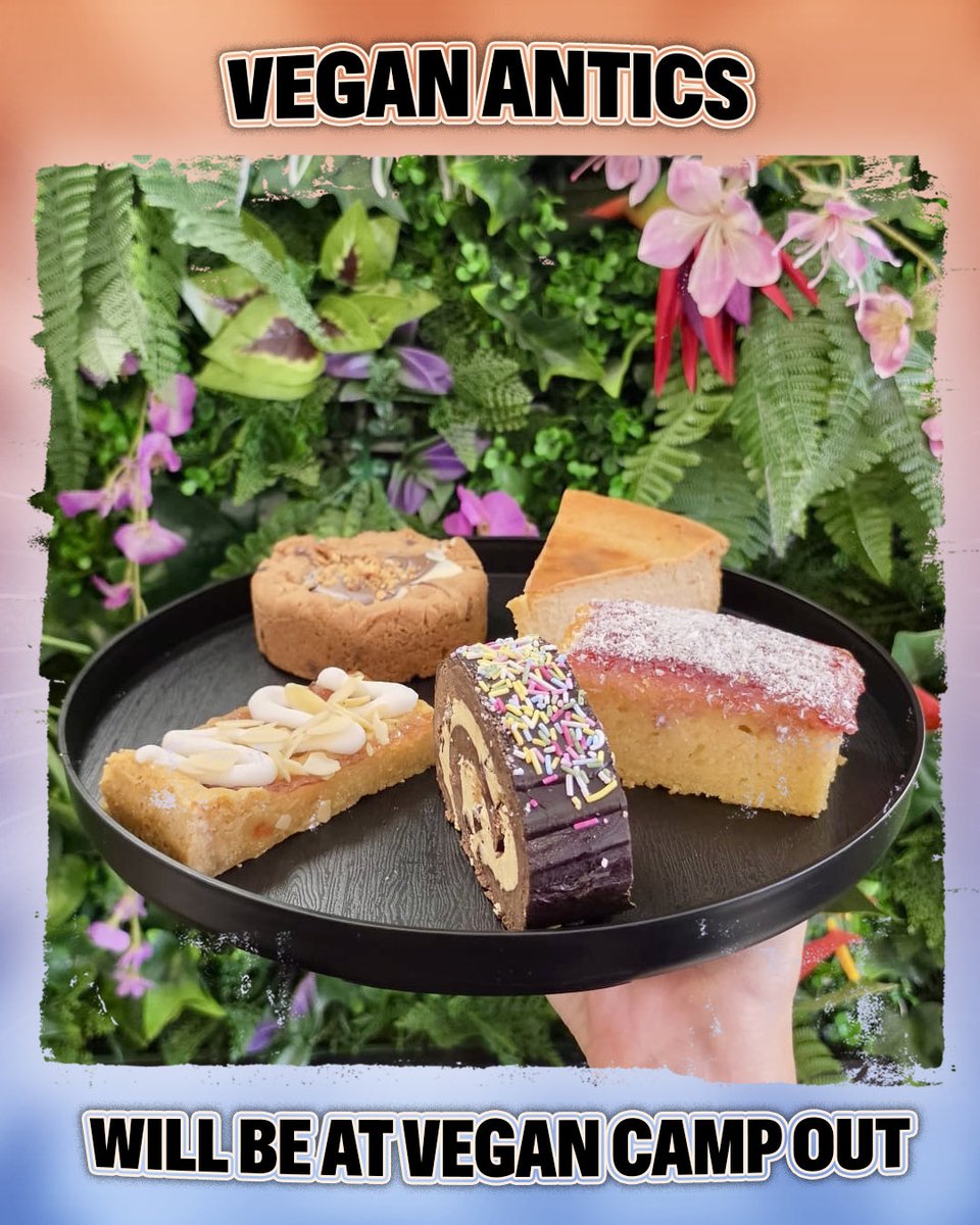 VeganCampOut's tweet photo. Vegan Antics are returning to VCO 2026 🎂🍰

🎫 Tickets - https://t.co/IrZ6WvTWCF
💅 Glamping - https://t.co/HHy5WiKs4j
⛺ Tent Hire - https://t.co/IXNgJqK5ac
🚌 Coach Travel - https://t.co/UmEioFY7Vv
🛀 Spa - https://t.co/aPEt8a6gyB https://t.co/pp1yoeNEsj