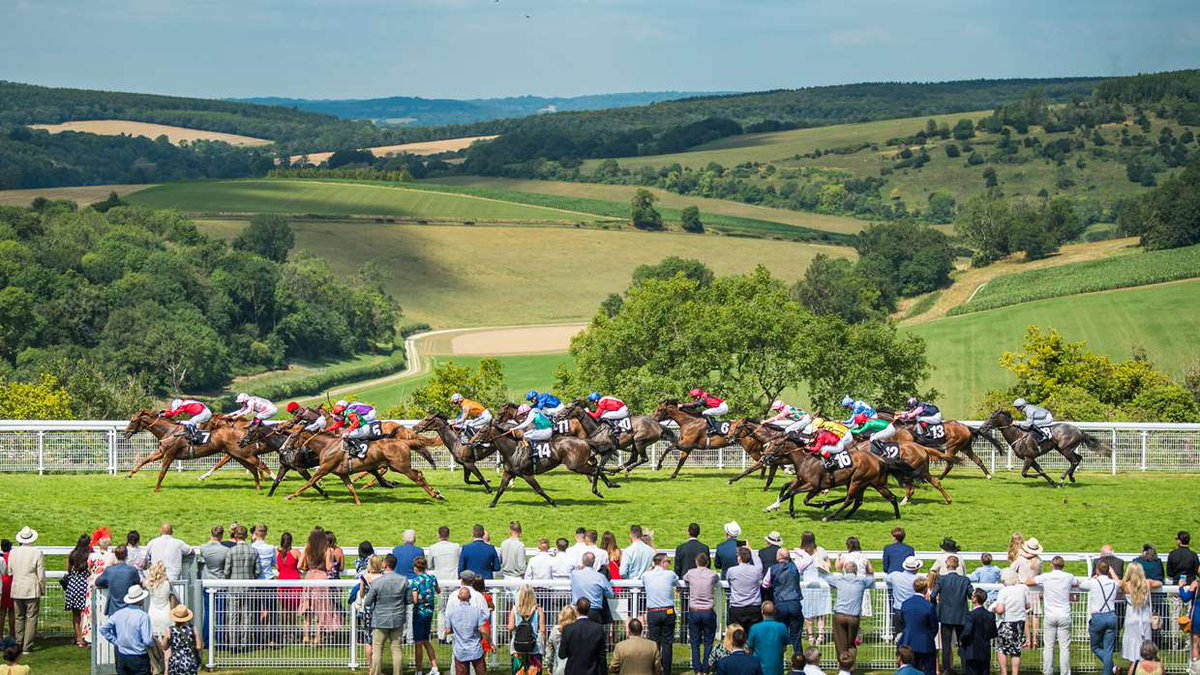 pigeon_island's tweet photo. 🐎Horse Racing Tipping Competition🐎

🐎 WEDNESDAY 29 JULY 🐎 #GloriousSwoop4
DAY 2 @Goodwood_Races 335 410 500 540

#OpenToAll ✅ https://t.co/geS2hDQLCd