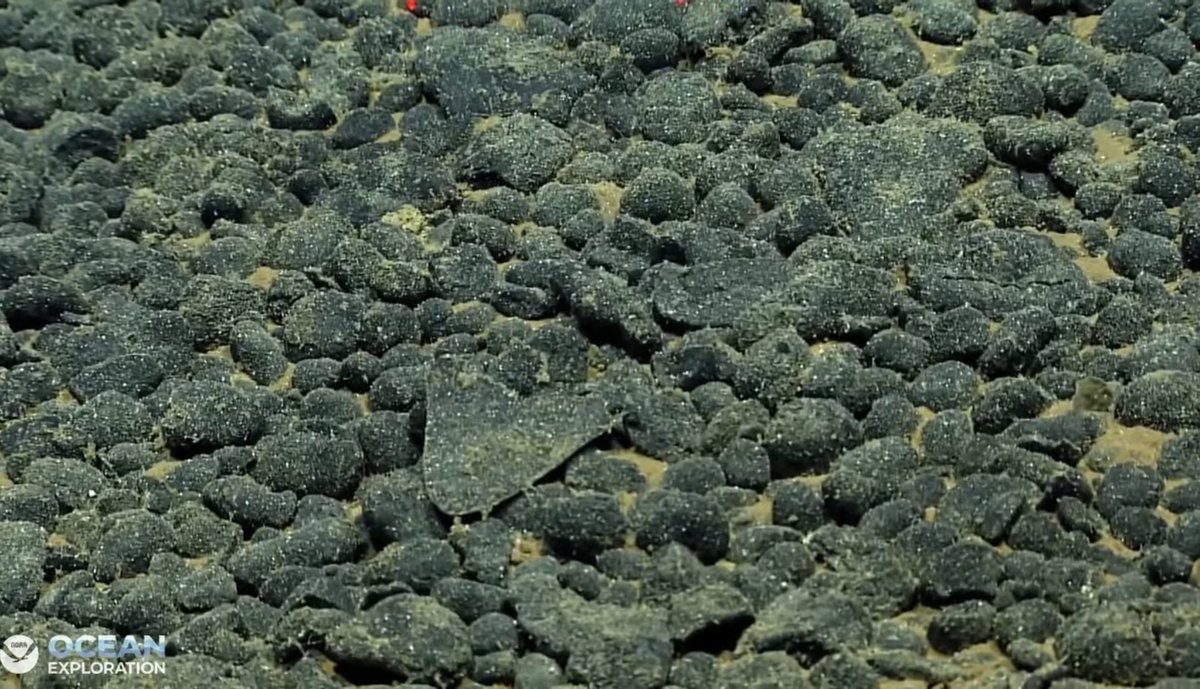 oceanexplorer's tweet photo. Today’s #Okeanos dive is on “B2 Seamount,” starting at 3,700 m (2.3 mi). We’ll work our way up the seamount slope, documenting biology & geology as we go.
Seafloor ETA: 10:30 a.m. CKT / 4:30 p.m. EDT
Seafloor ETD: 2:00 p.m. CKT / 8:00 p.m. EDT
LIVE: https://t.co/2nkP2gZZis https://t.co/w7Ij1Cl1cx