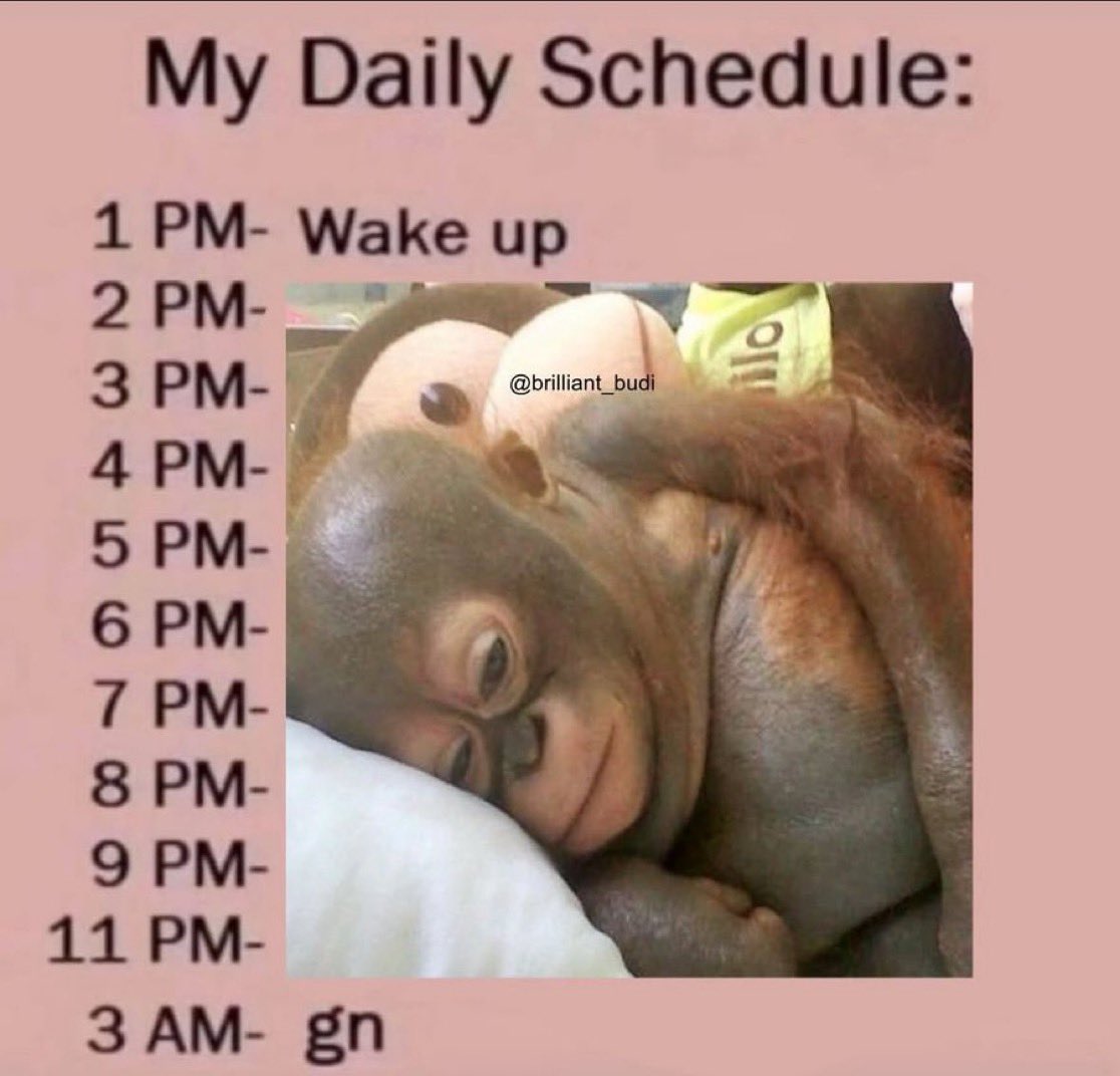_SWOGer_'s tweet photo. @boriiscrypto @EricCryptoman Niggas be like 😭🤣🤦‍♂️ https://t.co/GUuiiC0ZCy