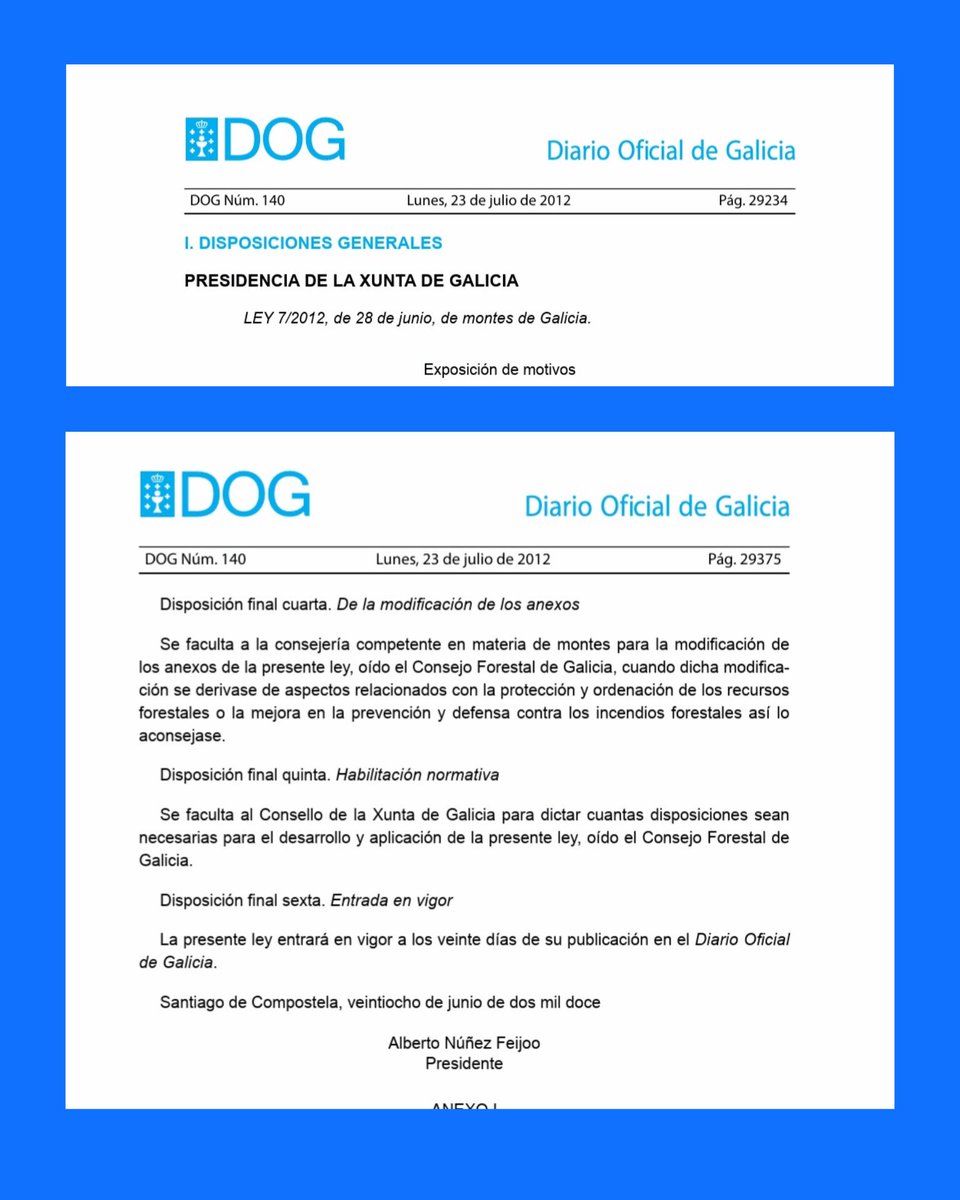 rubenmllfrr's tweet photo. Feijóo culpa a la normativa y a las leyes de montes de la falta de limpieza de los bosques.  

La Ley de Galicia se elaboró cuando él era presidente de la Xunta.  

Conclusión: es corresponsable de los incendios devastadores del año pasado en Galicia. https://t.co/eCEPOtvg7P