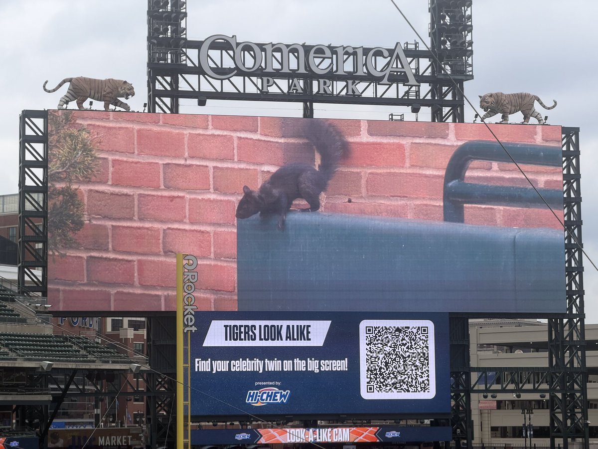 JakeDRill's tweet photo. Look at who has returned to Comerica Park today https://t.co/eDRnJGIwj5