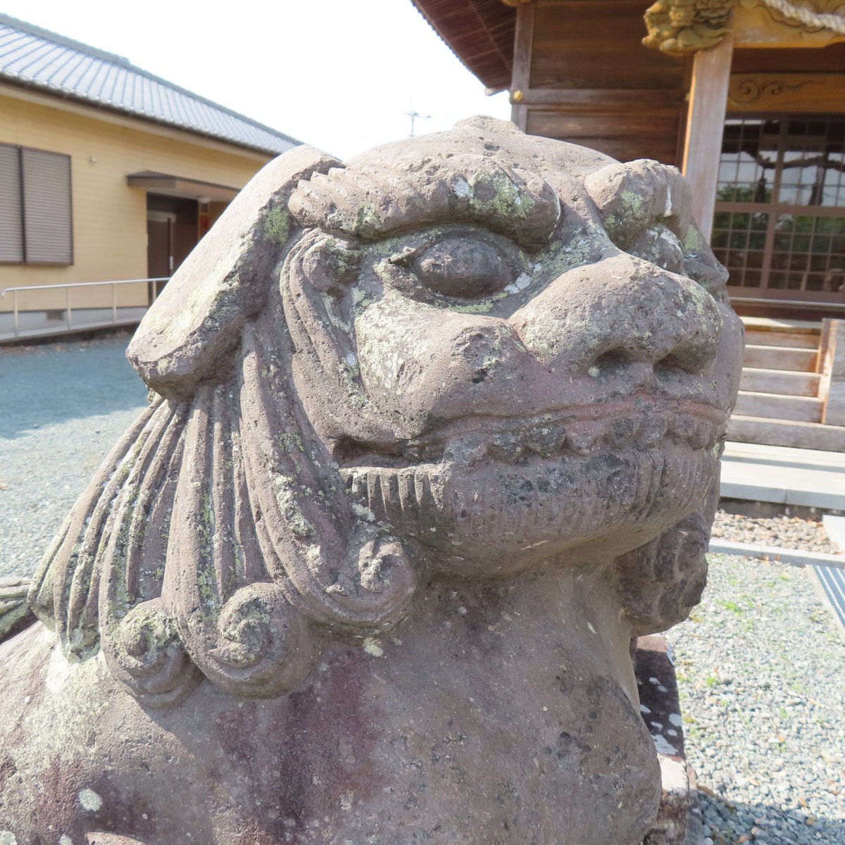 komainu1000's tweet photo. 夜明神社　久留米市大善寺町夜明の狛犬さん②

#狛犬 #狛犬さん #獅子 #石獅子 #参道狛犬 #神殿狛犬 #こまいぬ #阿吽
#神社 #神社巡り #神社参拝
#狛犬巡り #狛犬愛好家 #狛犬マニア #狛犬探訪 #狛犬ハンティング #狛犬巡り #狛犬さんぽ #狛犬サイクリング #狛犬バカ一代 https://t.co/Pjkx8B7aGl