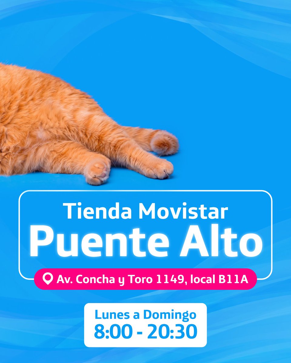 MovistarChile's tweet photo. 😺 ¡Tu nueva tienda Movistar está aquí!
Te esperamos con ofertas en planes y equipos. 📲🛜 Desliza y encuentra toda la información para visitarnos. 👉🏼 https://t.co/3NFsSr1Cxb