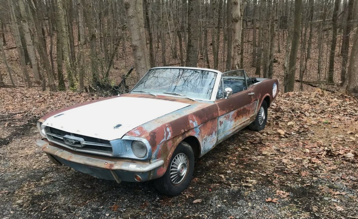 68taggart's tweet photo. 🏁☠️#ToplessTuesday ☠️🏁 https://t.co/B2wfRAAgp6