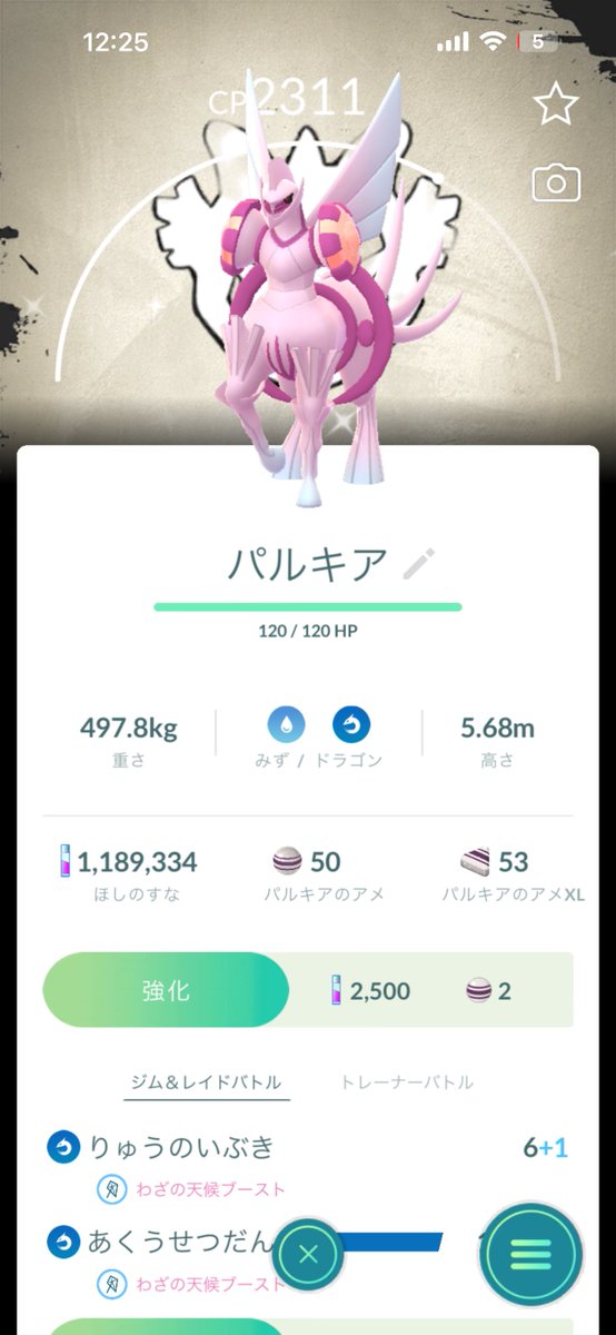 🥶ポケモンGO🐶 tweet media