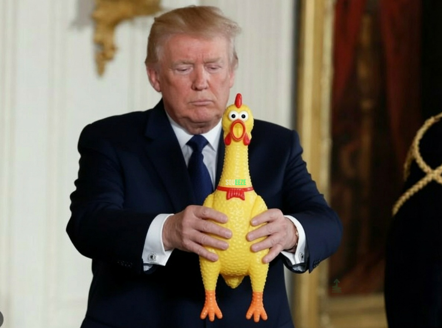 squeezydave's tweet photo. @realDonaldTrump Give him a presidential squeeze hug, Mr. Trump. https://t.co/EPhDfEy5FQ