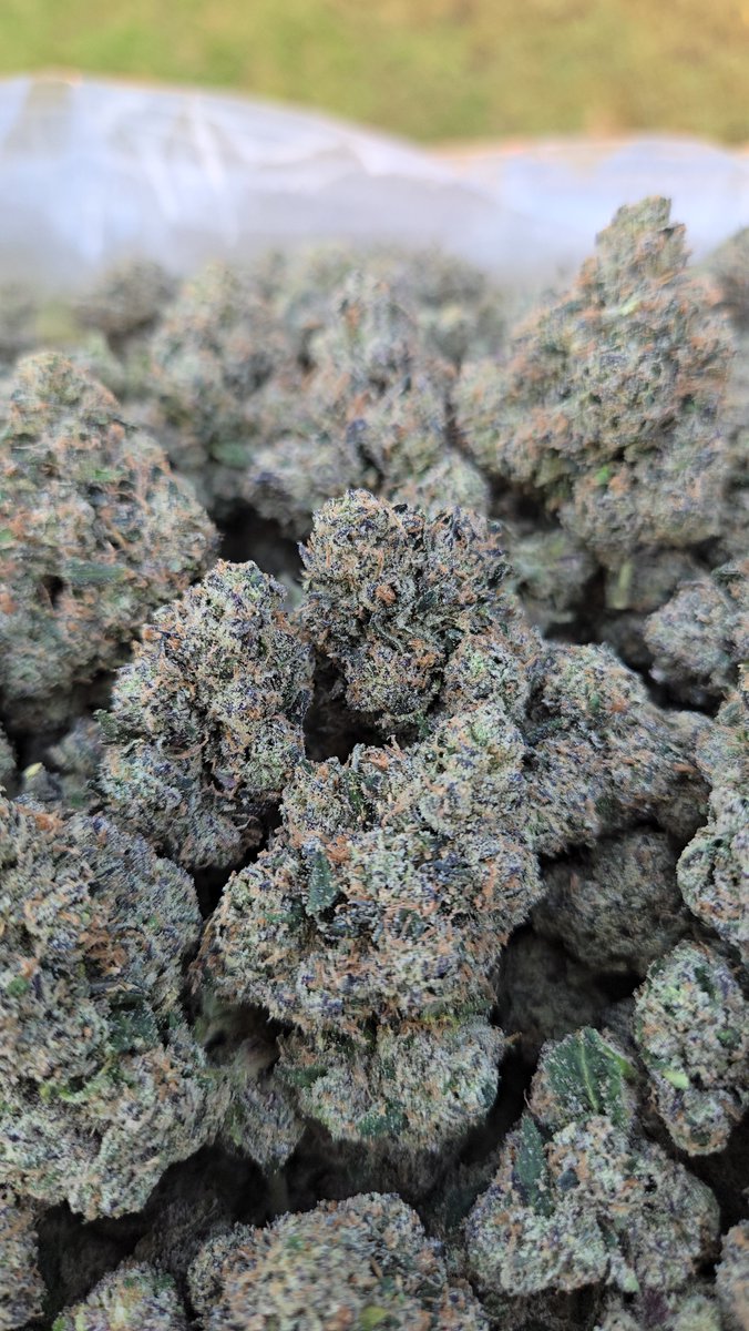 OGX_DELIVERY's tweet photo. Nuclear Zlurpee ☢️🥤🍬🔥💨

🧬 (Galactic Warheads x Kut Throat Kandy)

👨‍🌾 Zbra Brand

🌐 https://t.co/CqlGKlbgZN

#california #socal #orangecounty #huntingtonbeach #anahiem #thc
#stonerfam #420community #indica #cannabis #weed #dank #stoner #ogx #ogxpress #ogexpress #local https://t.co/1r02iMmY4i