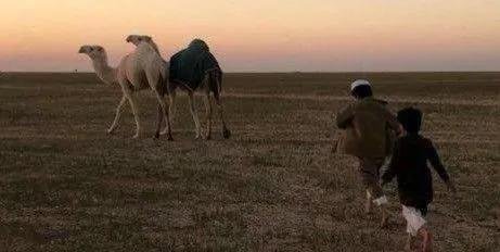 j_vzfgv's tweet photo. ͏

͏ 

من صفالي ماتركته ولو طال الزمان 
ومن تغير رحت عنه وهو عينه "تشوف"✨

͏

͏ https://t.co/3RmscDKiHo