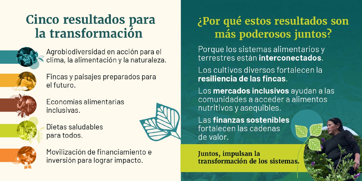 Alianza de Bioversity International y el CIAT tweet media
