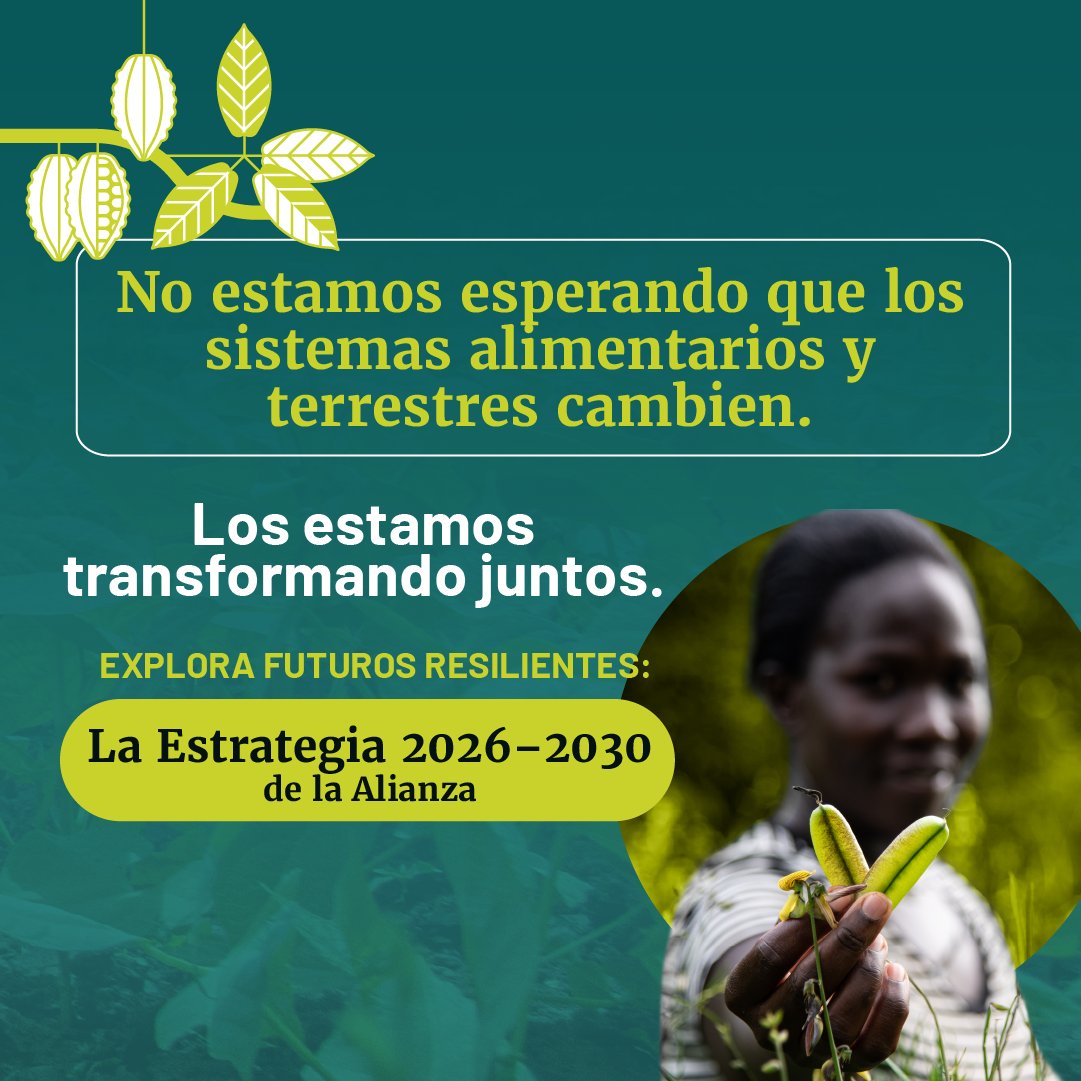 Alianza de Bioversity International y el CIAT tweet media